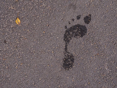 Svenska kyrkans miljöutbildning