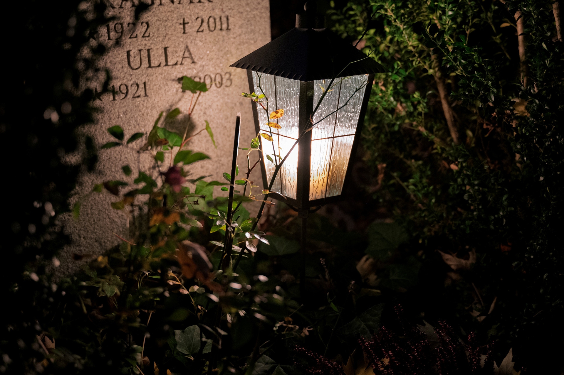 Modell för särredovisning av begravningsverksamhetens intäkter och kostnader - Digital